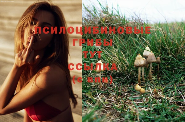 бошки Аркадак