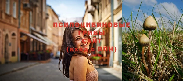 прущие грибы Протвино