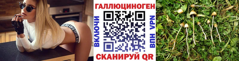 Псилоцибиновые грибы Psilocybine cubensis  где найти наркотики  Семёнов 